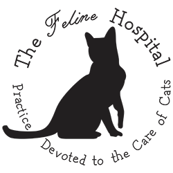 The Feline Hospital | Cat-Only Veterinarian in Salem, MA